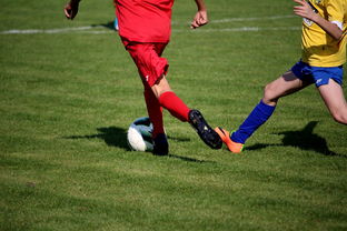 开云体育官网下载-男篮国家队专项安排外线射手训练增强火力输出，男篮外援